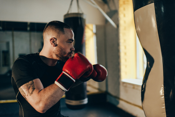 Boxer edzés boxzsákkal - Fotó, kép