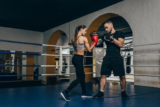 boxers formação em anel de boxe
 - Foto, Imagem