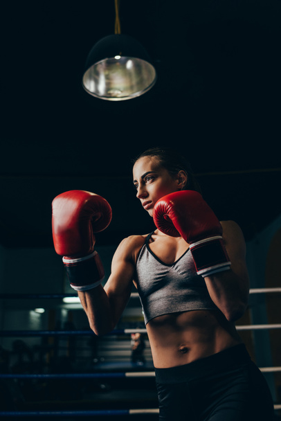 vrouwelijke bokser - Foto, afbeelding