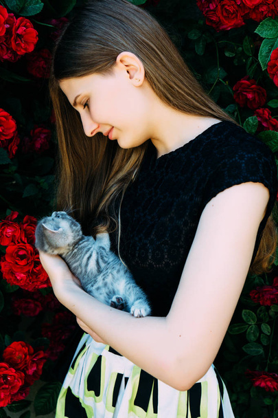 A girl with a British gray kitten on her hands - Foto, Imagen