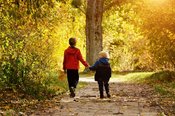 Dois rapazes a caminhar no parque de Outono. Dia ensolarado. Visão traseira
 - Foto, Imagem