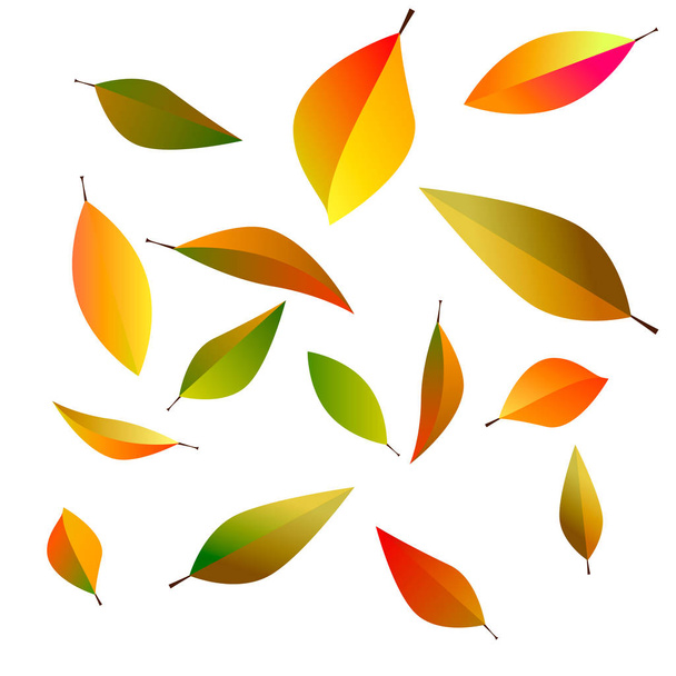 Autumn falling leaves vector illustration - Vector, Image