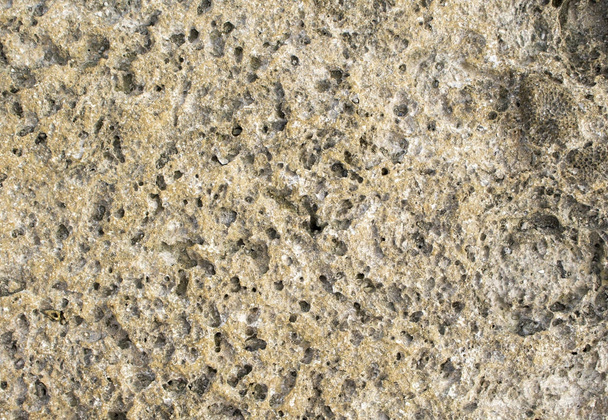 Natural stone texture photo background. Volcanic stone texture. - Fotó, kép