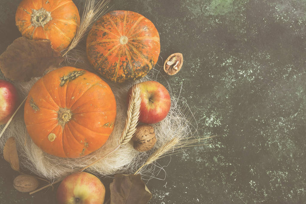 Autumn harvest - pumpkins, apples, nuts, wheat  on a dark backgr - Фото, изображение