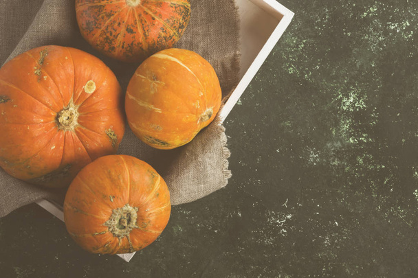 Ripe pumpkins in a white wooden tray on a green background. Top  - Foto, afbeelding