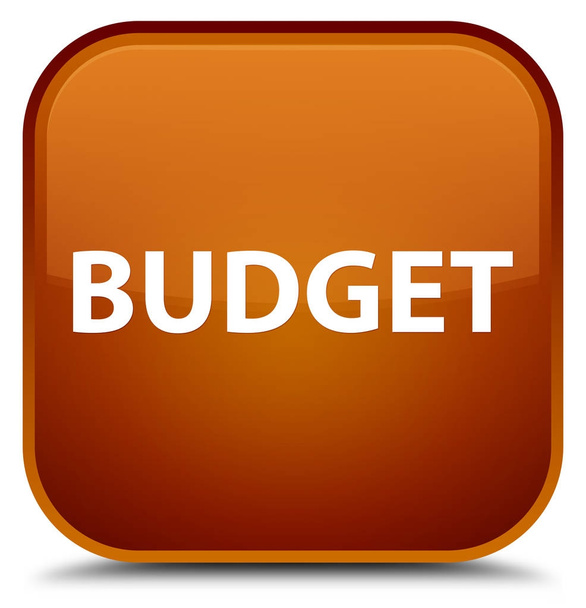 Προϋπολογισμός ειδική καφέ τετράγωνο κουμπί - Φωτογραφία, εικόνα