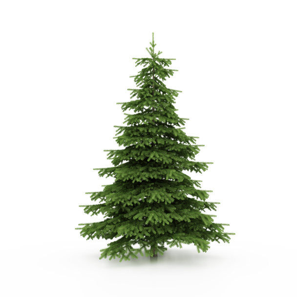 El árbol de Navidad listo para decorar
 - Foto, imagen