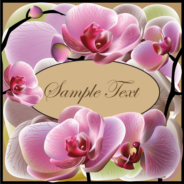 Elegant greeting card with orchid flowers - Вектор,изображение