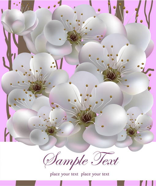 Apricot flower seamless pattern - Vecteur, image