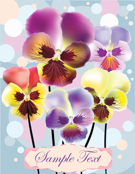 Viola flowers - Vector, Imagen