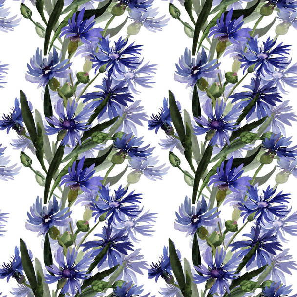 Acuarela ilustración de un ramo de flores silvestres, acianos sobre un fondo de color
 - Foto, imagen