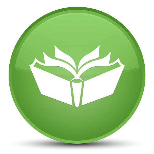 Fordítás ikonra speciális puha zöld kerek gomb - Fotó, kép