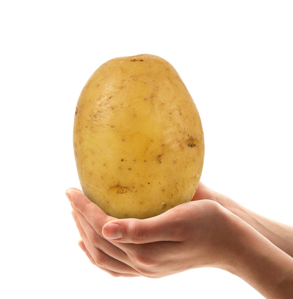 potato in  the hands - Photo, Image