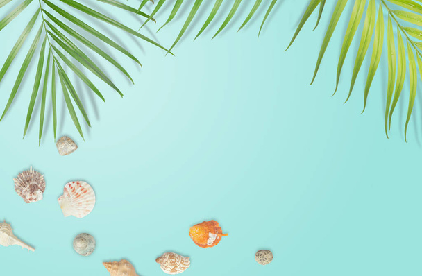 青の背景に熱帯の葉のフレームと貝殻。夏  - 写真・画像