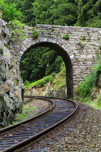 Romantikus kő híd vasúti gyönyörű erdőben, Cseh Köztársaság - Fotó, kép
