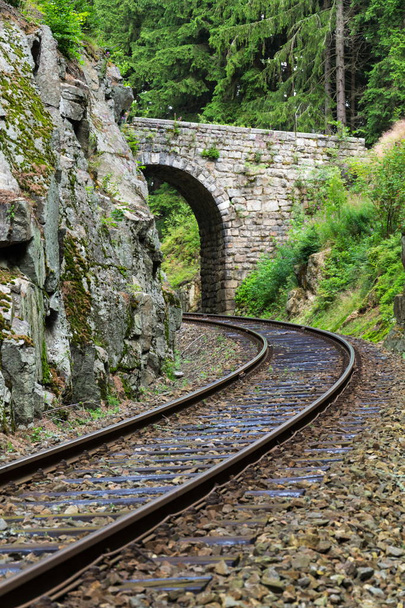 Romantische stenen brug over de spoorweg in prachtig bos, Tsjechië - Foto, afbeelding