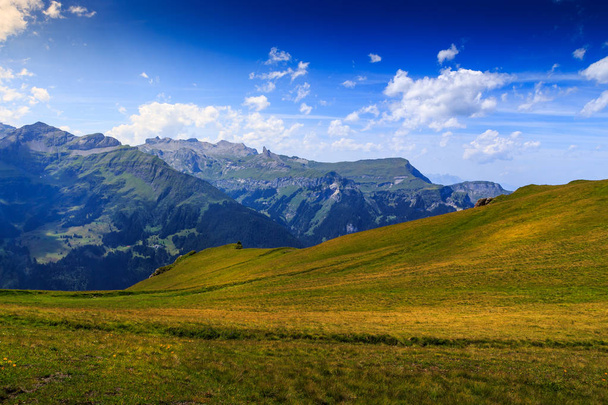 Wiese in den Berner Alpen - Foto, Bild
