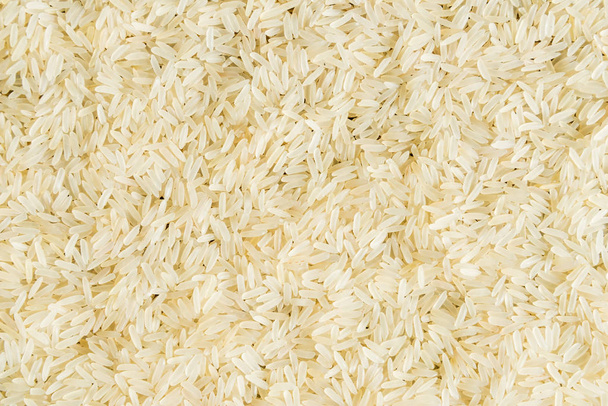 Short grains of uncooked white rice - Foto, afbeelding