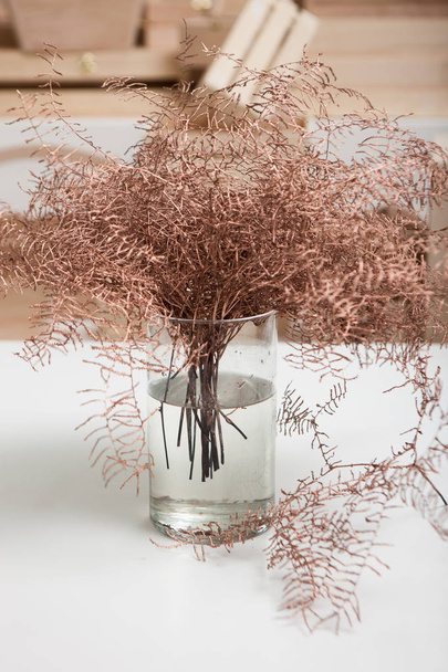Close up of bronze colored ferns in glass vase - 写真・画像