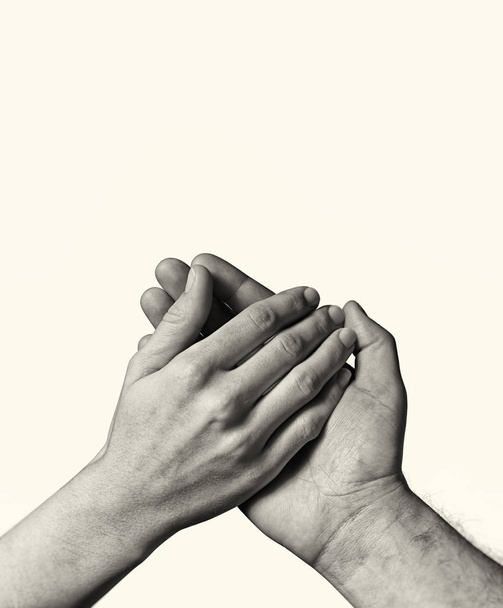 La mano masculina sostiene la palma femenina
. - Foto, Imagen