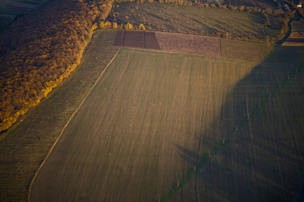 Fotografía aérea de varias tiras del campo
 - Foto, imagen