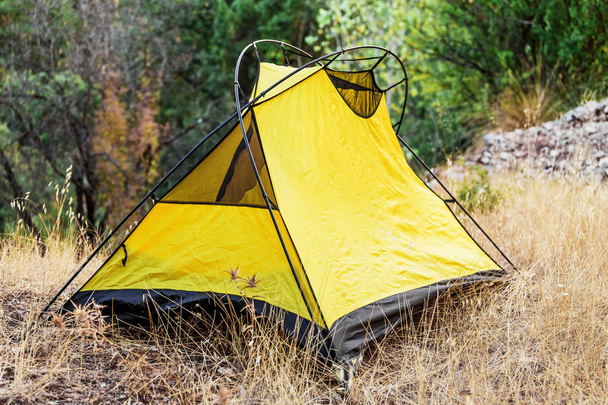 Tente jaune dans la forêt en journée d'été, Turquie camping
 - Photo, image