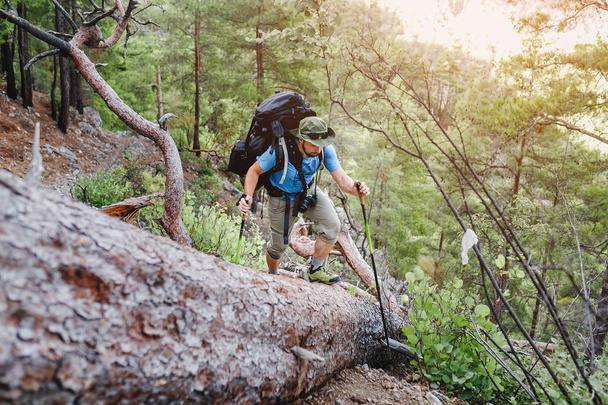kaland és túrázás koncepció - férfi hátizsák utazik erdőben - Fotó, kép