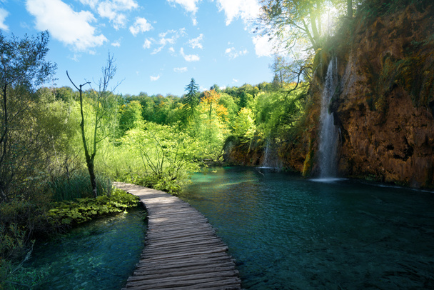 Vízesés az erdőben, Plitvice, Horvátország - Fotó, kép