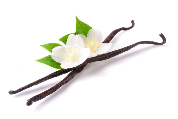 Vanília rúd, virág- és levél elszigetelt fehér background - Fotó, kép