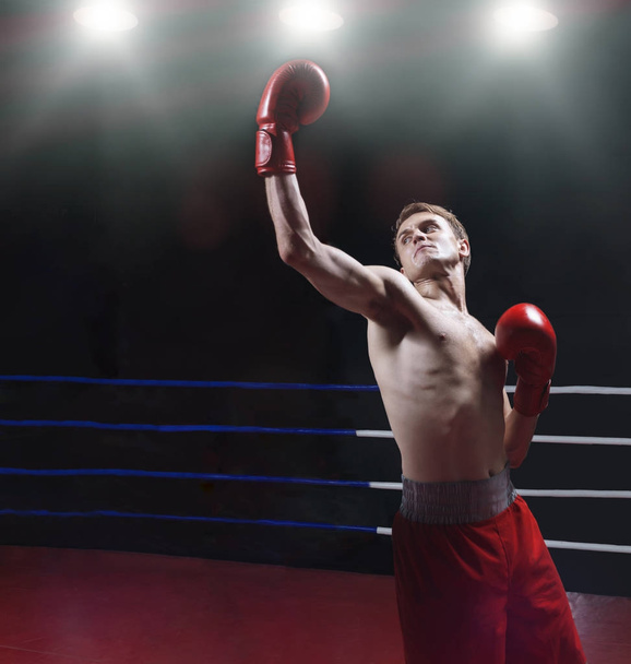 Athletic boxer indoors - Photo, Image