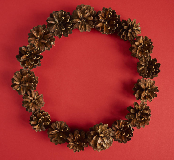 Pine cones circle on red background. Design mockup - Photo, Image