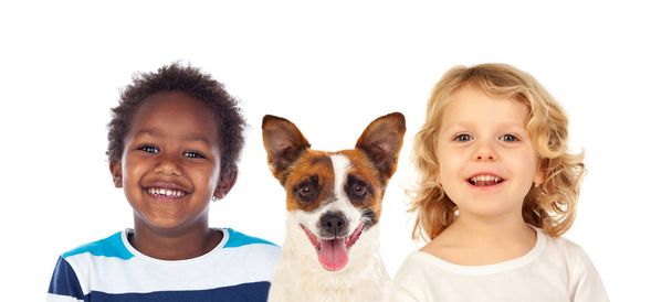портрет двох щасливих хлопчиків з собакою ізольовані на білому тлі
 - Фото, зображення