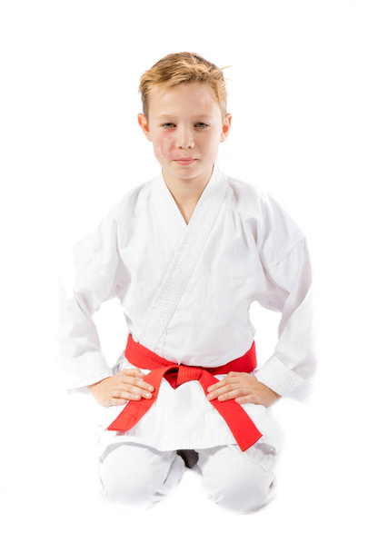 Pre-teen boy doing martial arts - Photo, image