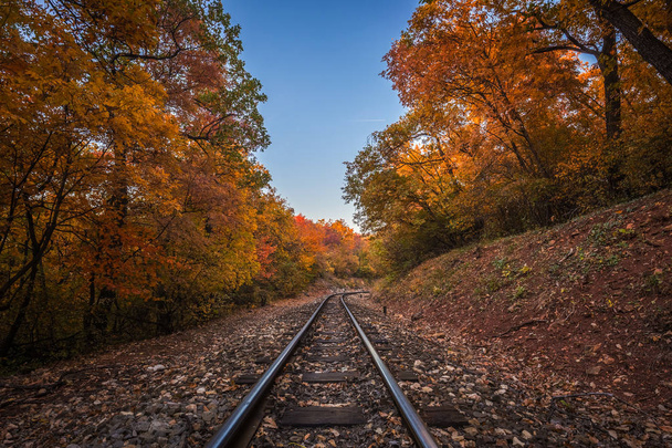 Budapest, Hungary - Train tracks in the autum woods of Huvosvolgy with beautiful colorful foliage at fall - Fotoğraf, Görsel