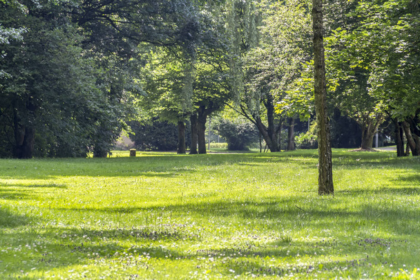 idyllisch park landschap - Foto, afbeelding