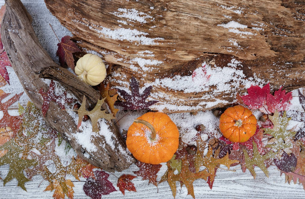 雪に覆われた素朴な秋の季節背景  - 写真・画像
