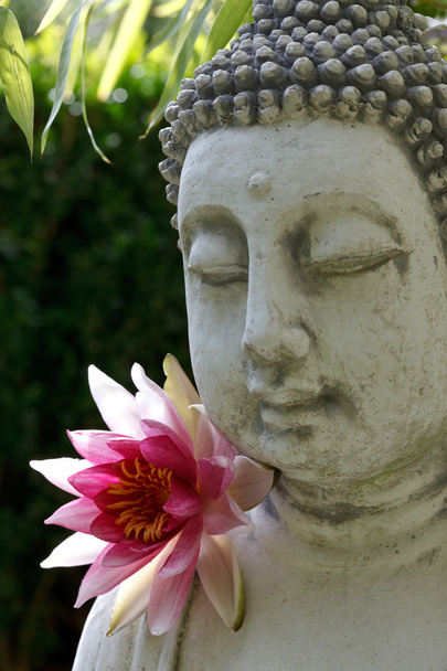 Kasvot Buddhan lootus ja bambu lehdet
 - Valokuva, kuva
