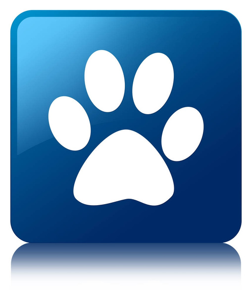 Ícone de pegada animal botão quadrado azul
 - Foto, Imagem