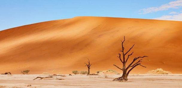 ナミビアの砂漠の風景 - 写真・画像