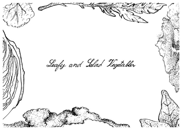 Ručně kreslenou z listové a zeleninový salát - Vektor, obrázek