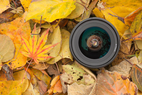 Una lente de cámara sobre un fondo de hojas de color en otoño
  - Foto, imagen