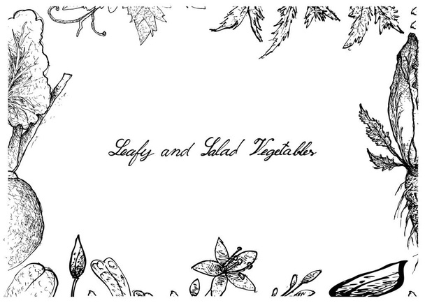 Ručně kreslenou z listové a zeleninový salát - Vektor, obrázek