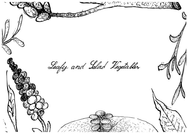 Desenho à mão de Legumes Folhosos e Salada
 - Vetor, Imagem
