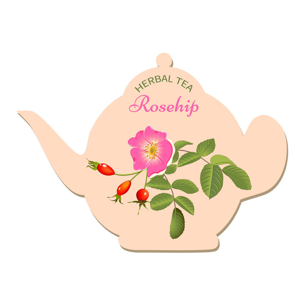 herbal tea rosehip - Vector, afbeelding