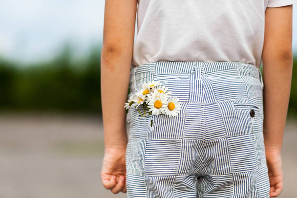 Cropped shot of a bunch of daisies tucked in back pocket of pants - Fotografie, Obrázek