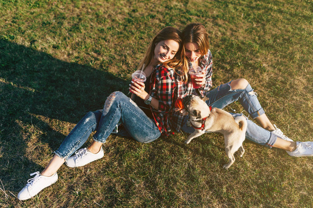 tweelingzusjes opknoping samen in een park met een schattig pug-hond - Foto, afbeelding