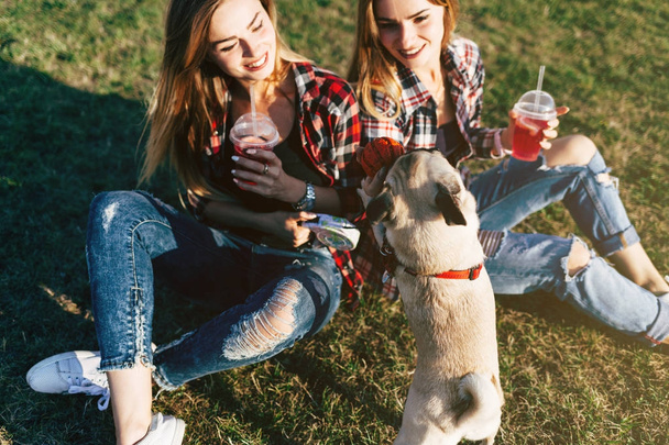gemelle appendere insieme in un parco con un simpatico cane carlino
 - Foto, immagini