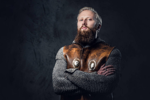 Viking Nordic zırh olarak giyinmiş bir adam. - Fotoğraf, Görsel