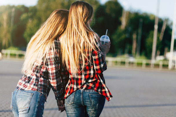 girls sisters twins in summer park - Fotografie, Obrázek