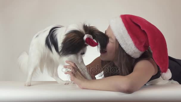 Όμορφο κορίτσι και σκυλί Papillon σπανιέλ παιχνιδιών Continental στα καλύμματα Santa Claus χαρωπά φιλιά και χαζεύεις στο λευκό φόντο αργής κίνησης στοκ πλάνα βίντεο - Πλάνα, βίντεο